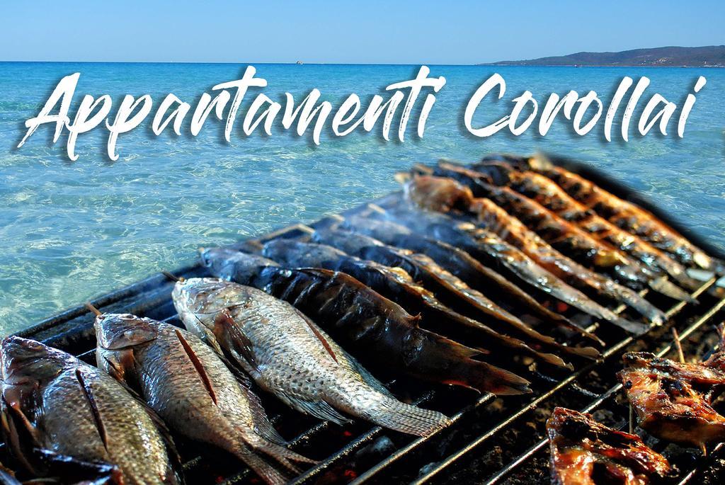 Appartamenti Corollai Τράπανι Εξωτερικό φωτογραφία